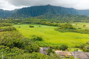 46-258 Kamehameha Hwy, Kaneohe, HI 96744 - Photo 4