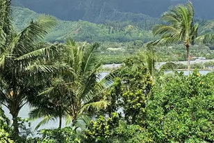 47-431 Kamehameha Hwy, Kaneohe, HI 96744 - Photo 24