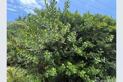 15-611 Beach Road, Keaau, HI 96749 - Photo 10