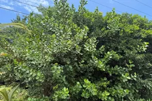 15-611 Beach Rd, Keaau, HI 96749 - Photo 10