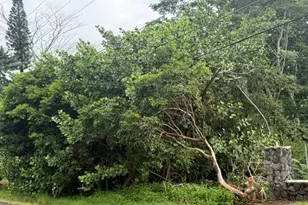 151611 Beach Rd, Keaau, HI 96749 - Photo 2