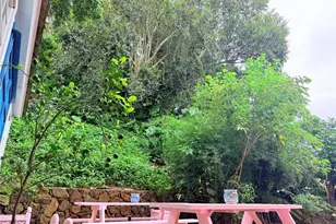 45-636 Anoi Rd, Kaneohe, HI 96744 - Photo 22