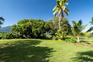 221 Kihapai St, Kailua, HI 96734 - Photo 4