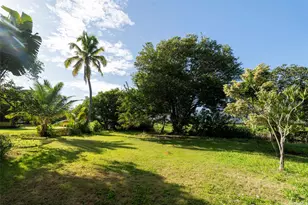 221 Kihapai St, Kailua, HI 96734 - Photo 8