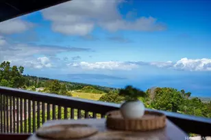 162 Koheo Rd, Kula, HI 96790 - Photo 2
