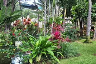 300 Wai Nani Way, Honolulu, HI 96815 - Photo 14