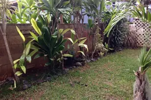 67-214` Kaui St, Waialua, HI 96791 - Photo 2