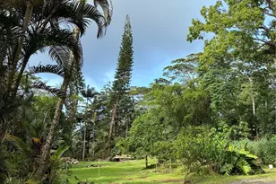 16-1963 36th Ave, Keaau, HI 96749 - Photo 22