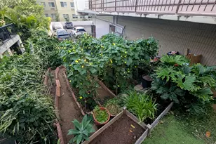 1425 Ward Ave, Honolulu, HI 96822 - Photo 22