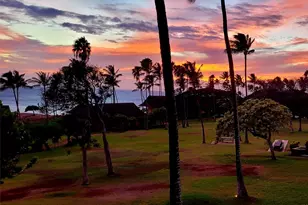 255 Kepuhi Pl, Maunaloa, HI 96770 - Photo 18