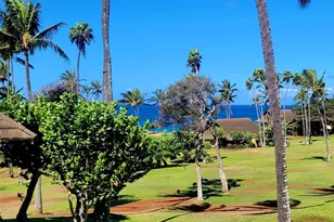 255 Kepuhi Pl, Maunaloa, HI 96770 - Photo 2