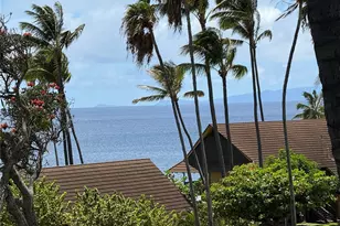 255 Kepuhi Pl, Maunaloa, HI 96770 - Photo 4