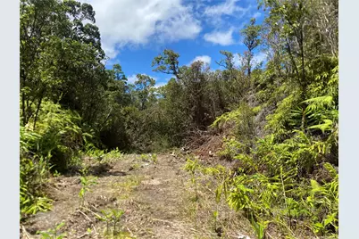 0 Road 10 Road, Volcano, HI 96785 - Photo 2