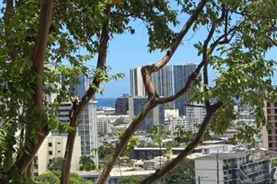 965 Prospect St, Honolulu, HI 96822 - Photo 4