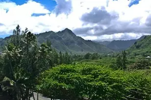 53-567 Kamehameha Hwy, Hauula, HI 96717 - Photo 18