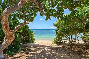 68-101 Waialua Beach Rd, Waialua, HI 96791 - Photo 18