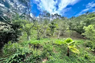 98-621 Kilinoe St, Aiea, HI 96701 - Photo 14