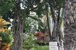 300 Wai Nani Way, Honolulu, HI 96815 - Photo 20