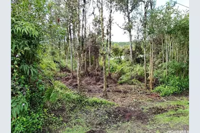 Lot 1022 Oahu Road, Pahoa, HI 96778 - Photo 6