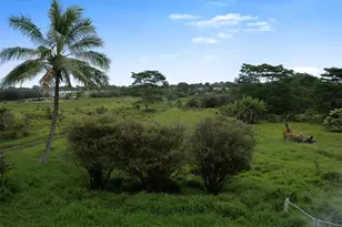 178 S Wilder Rd, Hilo, HI 96720 - Photo 10