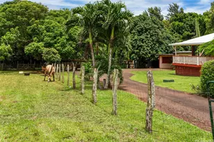 710 Mopua St, Haiku, HI 96708 - Photo 24