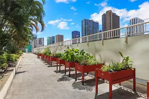 909 Kapiolani Blvd, Honolulu, HI 96814 - Photo 20