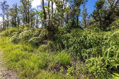 11-3259 * Road, Volcano, HI 96785 - Photo 18
