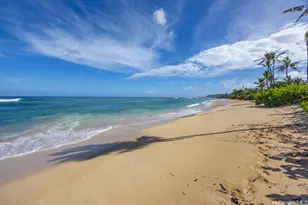 61-695 Kamehameha Hwy, Haleiwa, HI 96712 - Photo 1