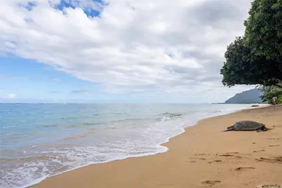 53-549 Kamehameha Highway #209, Hauula, HI 96717 - Photo 1