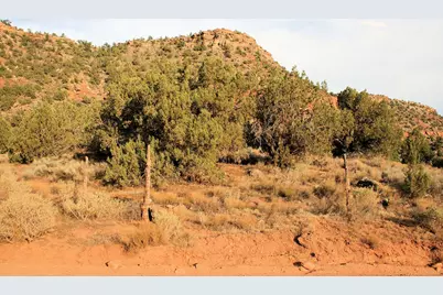 59.39 Acs Dalton Wash Rd, Virgin, UT 84779 - Photo 6
