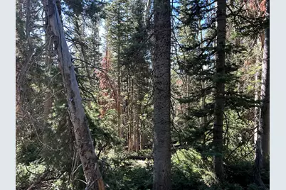 W Hunter Ridge Dr, Brian Head, UT 84719 - Photo 12