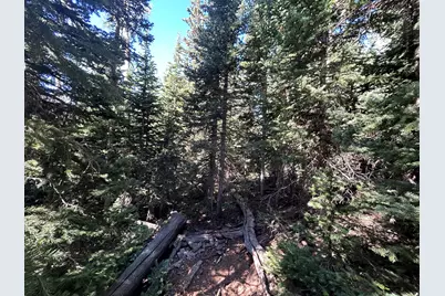 W Hunter Ridge Dr, Brian Head, UT 84719 - Photo 1