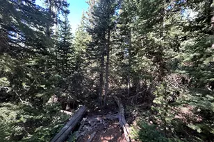 W Hunter Ridge Dr, Brian Head, UT 84719 - Photo 1