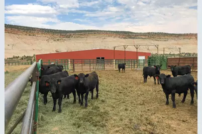 2405 S Lower Boulder Rd, Boulder, UT 84716 - Photo 46