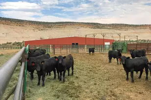 2405 S Lower Boulder Rd, Boulder, UT 84716 - Photo 46