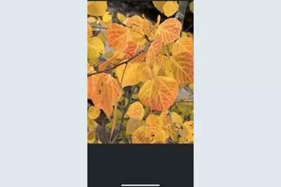 Lot #47 West Village Subdivision Eagle, Beaver, UT 84713 - Photo 1