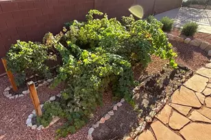 97 S 495 W, Ivins, UT 84738 - Photo 74