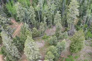 6240 W Grizzly Ln, Duck Creek, UT 84762 - Photo 24