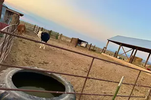 1380 N 2800 E, Enterprise, UT 84725 - Photo 8