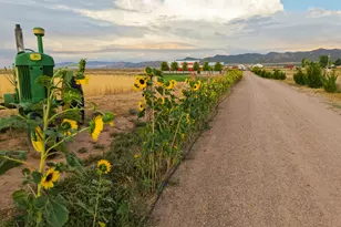 1380 N 2800 E, Enterprise, UT 84725 - Photo 78