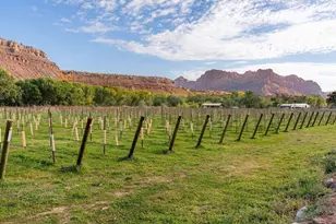 560 Vineyard Ln, Rockville, UT 84763 - Photo 74