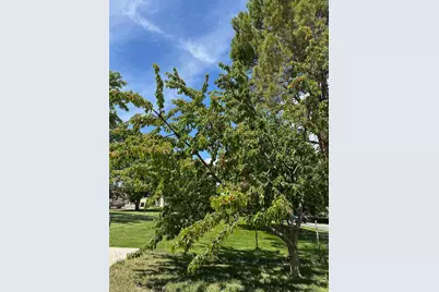 191 N Ash Creek Dr, Toquerville, UT 84774 - Photo 16