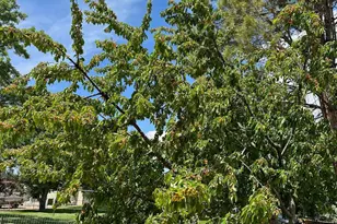 191 N Ash Creek Dr, Toquerville, UT 84774 - Photo 16