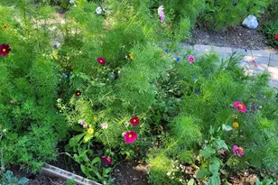 1603 S Campground S, Beaver, UT 84713 - Photo 10