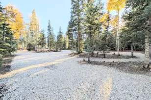 295 E Porcupine Dr, Duck Creek, UT 84762 - Photo 4