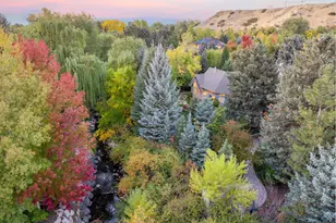 2238 Cottonwood Cove Ln, Salt Lake City, UT 84121 - Photo 126