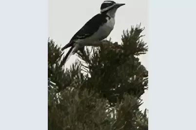 370 E Foothill Cir, Central, UT 84722 - Photo 34