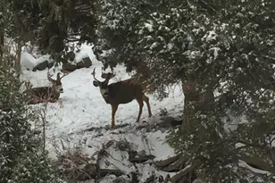 934 E Cedar Highlands Dr, Cedar City, UT 84721 - Photo 70