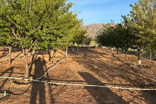 1297 E 600 S, New Harmony, UT 84757 - Photo 80