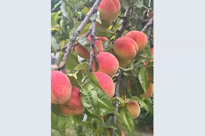 267 N 300 W, Parowan, UT 84761 - Photo 24